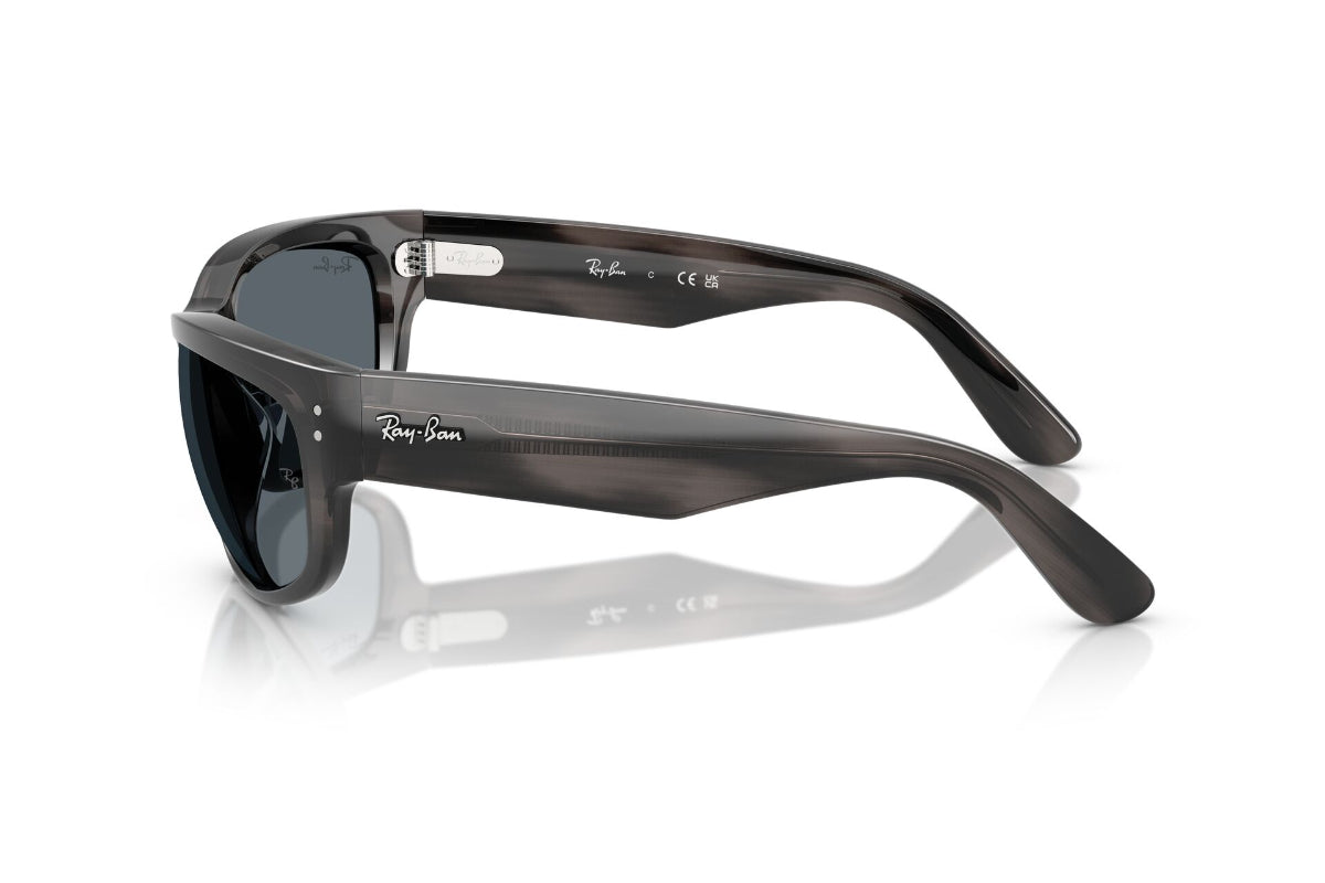 Ray-Ban Mega Balorama